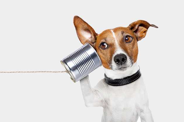 Why Communication During Online Medical School is Essential to Success