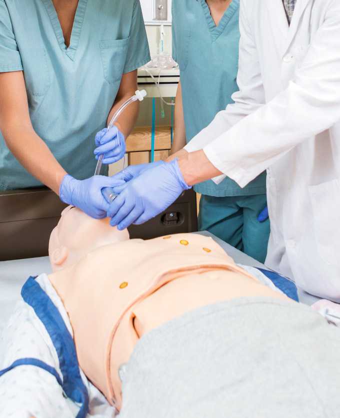 Students participate in hands-on training.